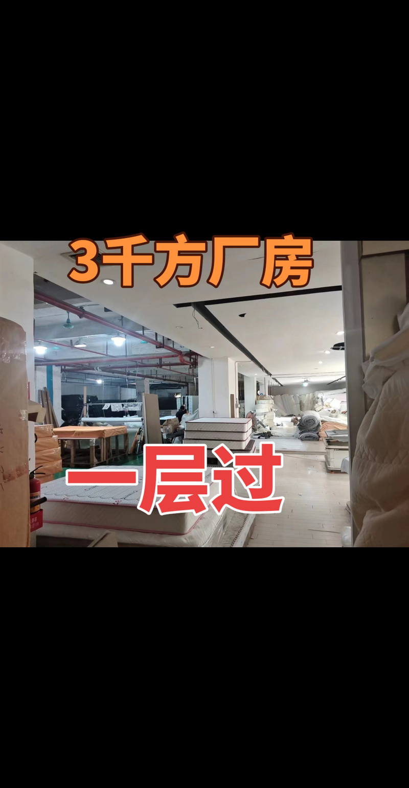厂房仓库招租信息咨询免费的抖音