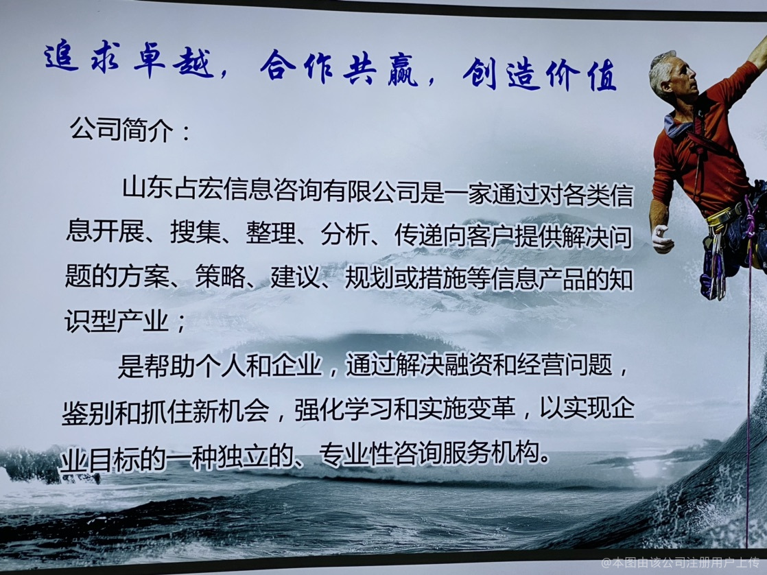 占宏信息咨询